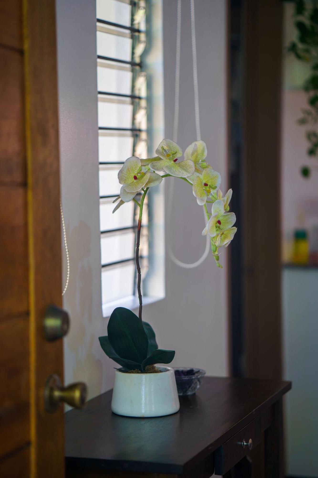 Weyh'S Studio #1 By The Ocean 100Mbps Panglao Exterior foto