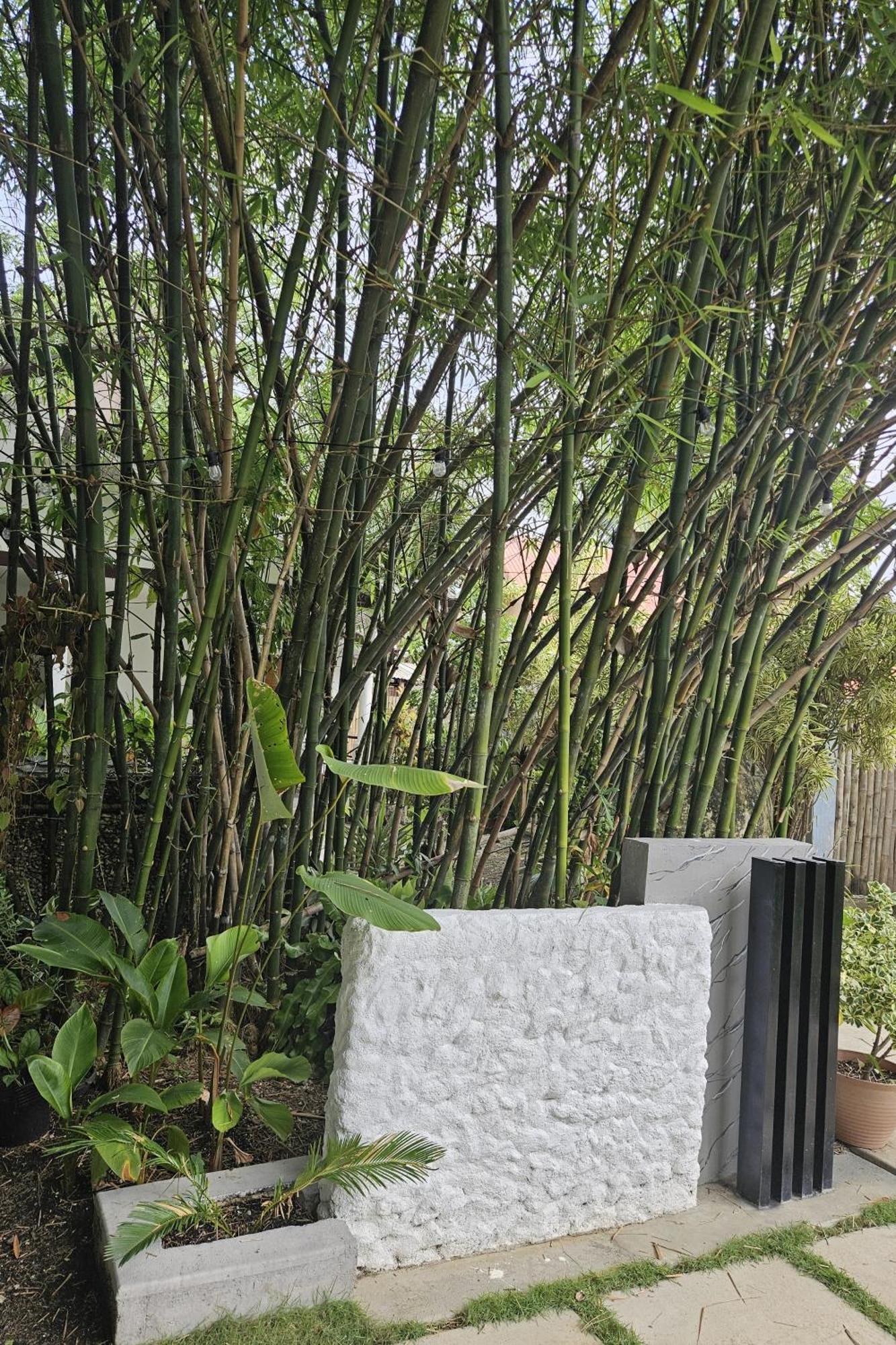 Weyh'S Studio #1 By The Ocean 100Mbps Panglao Exterior foto